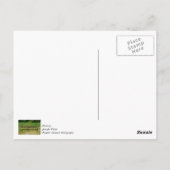 Pferde-Rechen Postkarte (Rückseite)