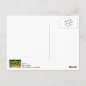 Pferde-Rechen Postkarte (Rückseite)