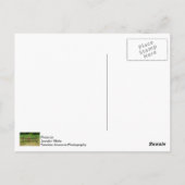 Pferde-Rechen Postkarte (Rückseite)