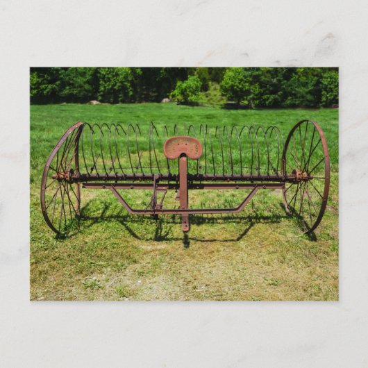 Pferde-Rechen Postkarte (Vorderseite)