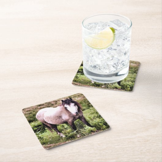 PFERDE RECHTECKIGER PAPPUNTERSETZER (Vor Ort)