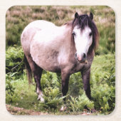 PFERDE RECHTECKIGER PAPPUNTERSETZER (Vorderseite)