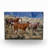 Pferde Roaming in den Hügeln Fotoblock (Vorderseite)