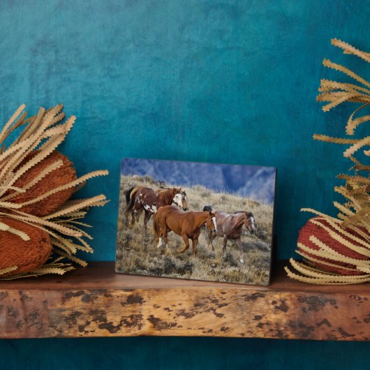 Pferde Roaming in den Hügeln Fotoplatte (Seite)