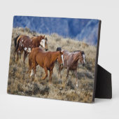 Pferde Roaming in den Hügeln Fotoplatte (Seite)