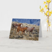 Pferde Roaming in den Hügeln Karte (Gelbe Blume)