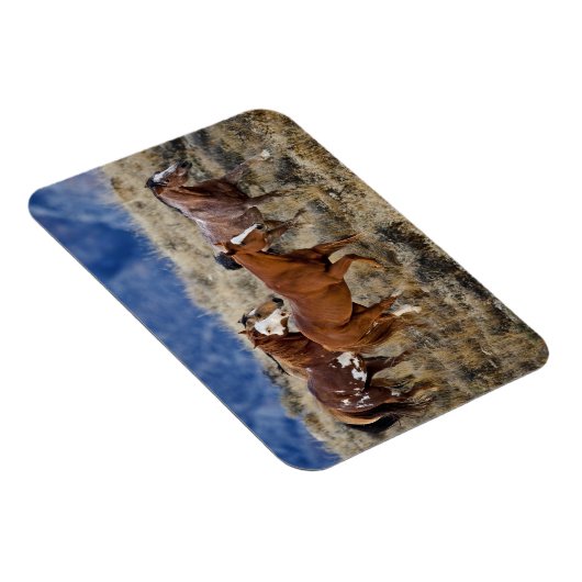 Pferde Roaming in den Hügeln Magnet (Rechte Seite)