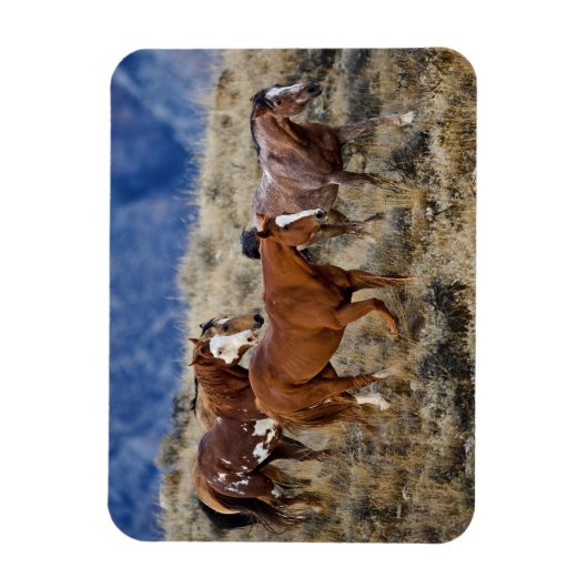 Pferde Roaming in den Hügeln Magnet (Vertikal)