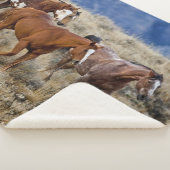 Pferde Roaming in den Hügeln Sherpadecke (3/4)