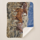 Pferde Roaming in den Hügeln Sherpadecke (Vorderseite)