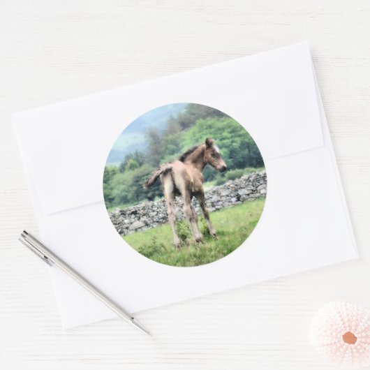 PFERDE RUNDER AUFKLEBER (Umschlag)