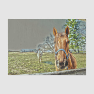 Pferde Rustikale Country Western Farm Decoupage Seidenpapier