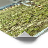 Pferde Rustikaler Western Reitbetrieb Poster (Ecke)