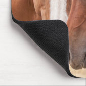 Pferde schmusen auf einer Weide Mousepad (Ecke)