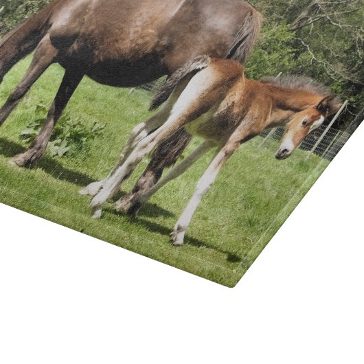 PFERDE SCHNEIDEBRETT (Ecke)