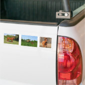 Pferde - schöne Pferde Autoaufkleber (Auf Lkw)