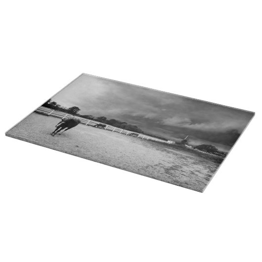 Pferde schwarz und weiß schneidebrett (Ecke)