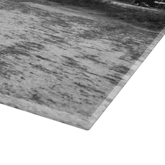 Pferde schwarz und weiß schneidebrett (Ecke)