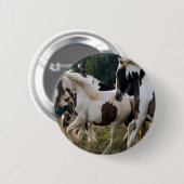 PFERDE SCHWARZES UND WEISSES 1.PNG BUTTON (Vorne & Hinten)