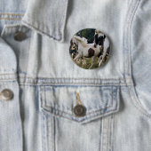 PFERDE SCHWARZES UND WEISSES 1.PNG BUTTON (Beispiel)