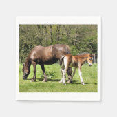 PFERDE SERVIETTE (Vorderseite)