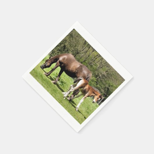 PFERDE SERVIETTE (Ecke)