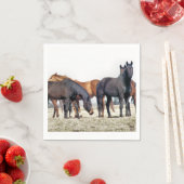 PFERDE SERVIETTE (Beispiel)