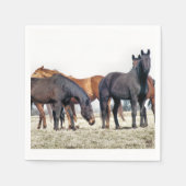 PFERDE SERVIETTE (Vorderseite)