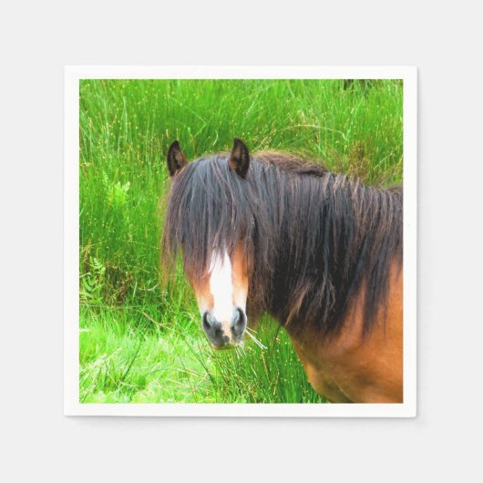 PFERDE SERVIETTE (Vorderseite)