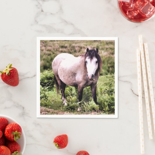 PFERDE SERVIETTE (Beispiel)