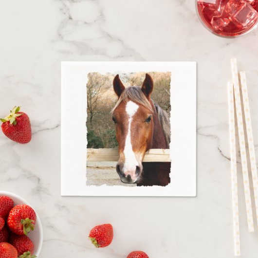 PFERDE SERVIETTE (Beispiel)