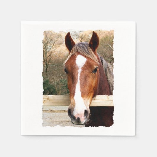 PFERDE SERVIETTE (Vorderseite)