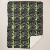 Pferde Sherpadecke (Vorderseite)