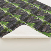 Pferde Sherpadecke (3/4)