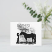 Pferde - Sie sind geliebt Postkarte (Stehend Vorderseite)