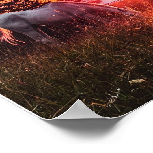 Pferde sind Engel ohne Flügel Poster (Ecke)