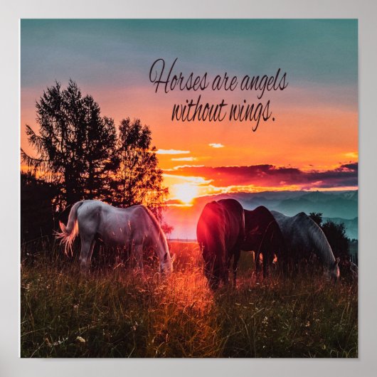 Pferde sind Engel ohne Flügel Poster (Vorne)