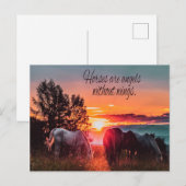 Pferde sind Engel ohne Flügel Postkarte (Vorne/Hinten)