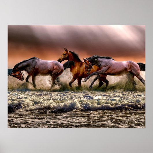 Pferde Stallion am Beach Foto Naturewall Poster (Vorne)