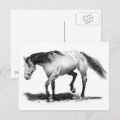 PFERDE, STALLION, PENCIL ART REALISMUS POSTKARTE (Vorne/Hinten)