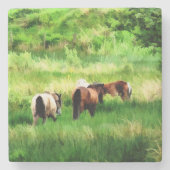 PFERDE STEINUNTERSETZER (Vorderseite)