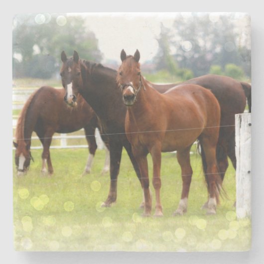 Pferde Steinuntersetzer (Vorderseite)