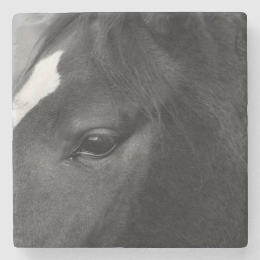 Pferde Steinuntersetzer (Vorderseite)