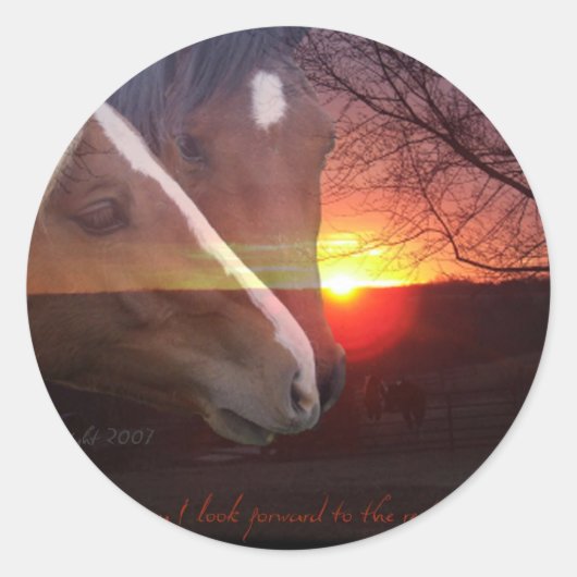 Pferde Sunrise Runder Aufkleber (Vorderseite)