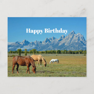 Pferde Teton Berge Landschaft Foto Postkarte