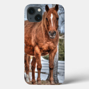 Pferde - Thema "Amerikanischer Western" iPhone 13 Hülle