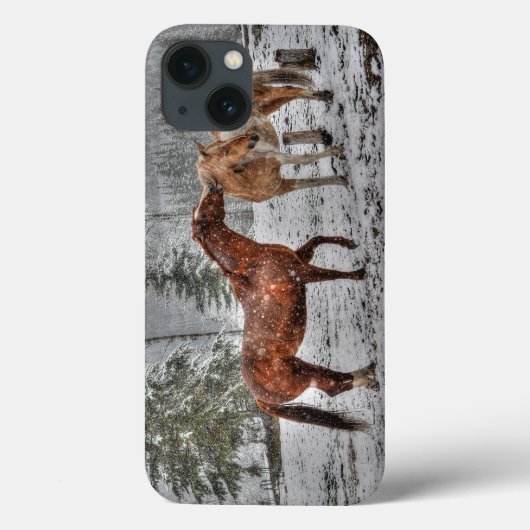 Pferde - Thema "Amerikanischer Western" Case-Mate iPhone Hülle (Rückseite)