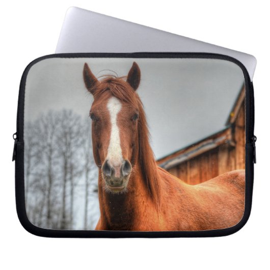Pferde - Thema "Amerikanischer Western" Laptopschutzhülle (Vorderseite)