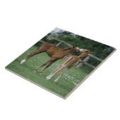 Pferde - Thoroughbreds, Fohlen, Fliese (Seite)