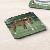 Pferde - Thoroughbreds, Fohlen, Untersetzer (Linke Seite)